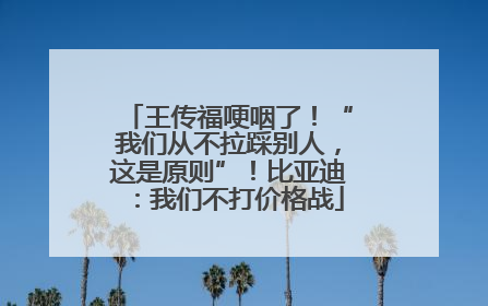 王传福哽咽了！“我们从不拉踩别人，这是原则”！比亚迪：我们不打价格战