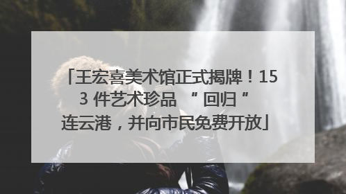 王宏喜美术馆正式揭牌！153 件艺术珍品 “ 回归 ” 连云港，并向市民免费开放