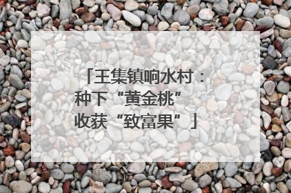 王集镇响水村：种下“黄金桃” 收获“致富果”