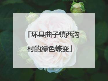 环县曲子镇西沟村的绿色蝶变