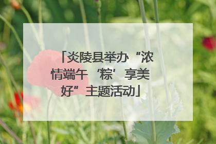炎陵县举办“浓情端午‘粽’享美好”主题活动
