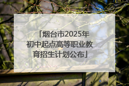 烟台市2025年初中起点高等职业教育招生计划公布