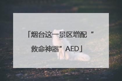 烟台这一景区增配“救命神器”AED