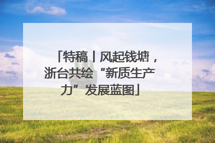 特稿丨风起钱塘，浙台共绘“新质生产力”发展蓝图