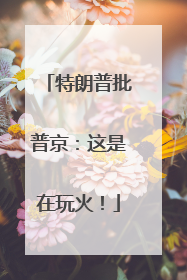 特朗普批普京：这是在玩火！