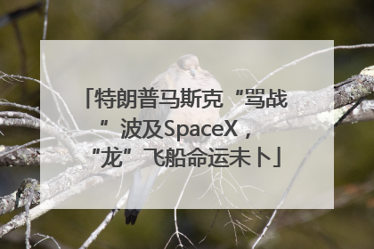 特朗普马斯克“骂战”波及SpaceX，“龙”飞船命运未卜
