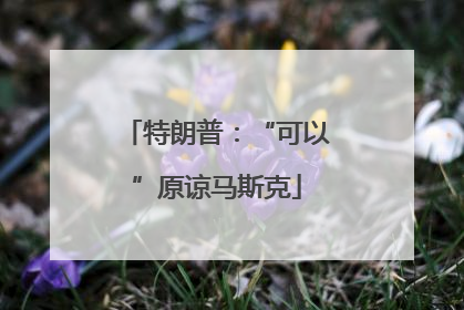 特朗普：“可以”原谅马斯克