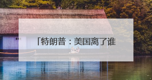 特朗普：美国离了谁都照样转，除了我