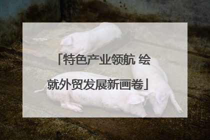 特色产业领航 绘就外贸发展新画卷
