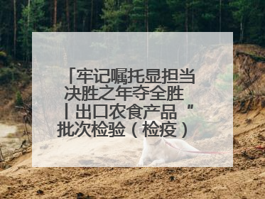 牢记嘱托显担当 决胜之年夺全胜丨出口农食产品“批次检验（检疫）”改革在连试点