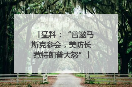 猛料：“曾邀马斯克参会，美防长惹特朗普大怒”