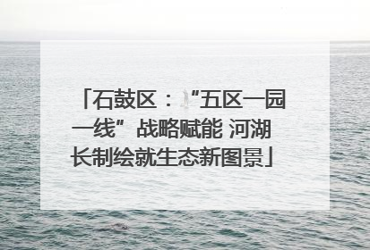 石鼓区：“五区一园一线”战略赋能 河湖长制绘就生态新图景