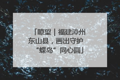 瞭望｜福建漳州东山县，画出守护“蝶岛”同心圆