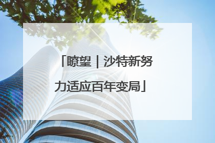 瞭望｜沙特新努力适应百年变局