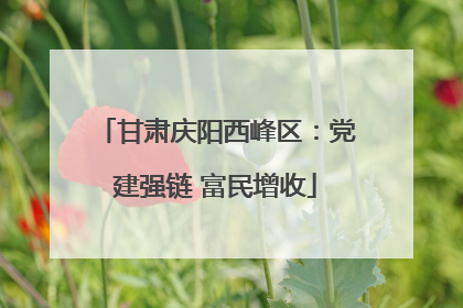 甘肃庆阳西峰区：党建强链 富民增收