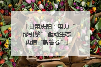 甘肃庆阳：电力“绿引擎” 驱动生态再造“新答卷”
