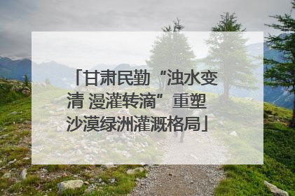 甘肃民勤“浊水变清 漫灌转滴”重塑沙漠绿洲灌溉格局