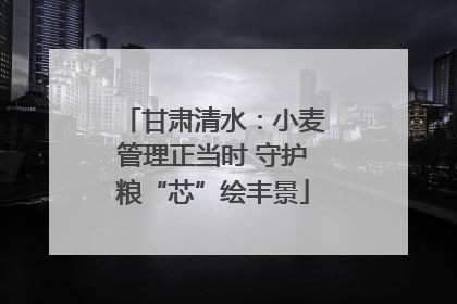 甘肃清水：小麦管理正当时 守护粮“芯”绘丰景