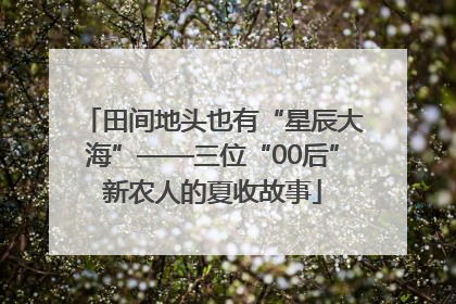 田间地头也有“星辰大海”——三位“00后”新农人的夏收故事