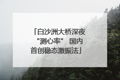 白沙洲大桥深夜“测心率” 国内首创稳态激振法