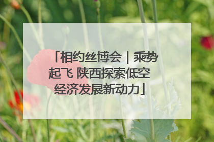 相约丝博会｜乘势起飞 陕西探索低空经济发展新动力