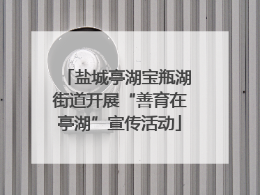 盐城亭湖宝瓶湖街道开展“善育在亭湖”宣传活动