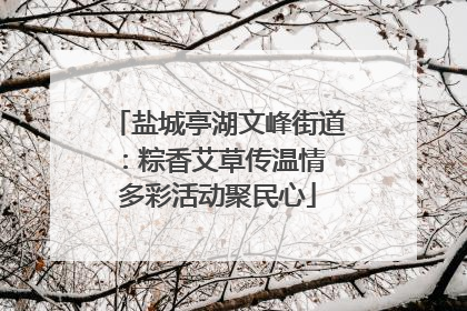 盐城亭湖文峰街道：粽香艾草传温情 多彩活动聚民心