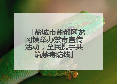 盐城市盐都区龙冈镇举办禁毒宣传活动，全民携手共筑禁毒防线