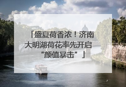 盛夏荷香浓！济南大明湖荷花率先开启“颜值暴击”