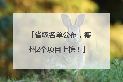 省级名单公布，德州2个项目上榜！