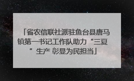 省农信联社派驻鱼台县唐马镇第一书记工作队助力“三夏”生产 彰显为民担当