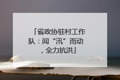 省政协驻村工作队：闻“汛”而动，全力抗洪