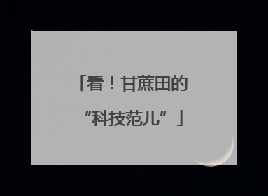 看！甘蔗田的“科技范儿”