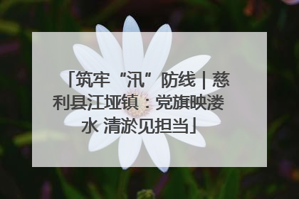 筑牢“汛”防线｜慈利县江垭镇：党旗映溇水 清淤见担当