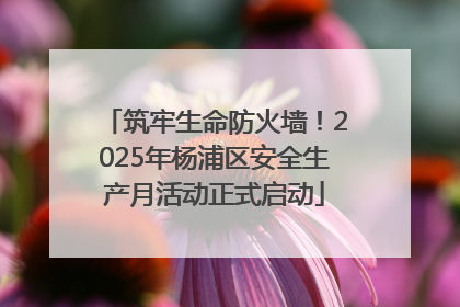 筑牢生命防火墙！2025年杨浦区安全生产月活动正式启动