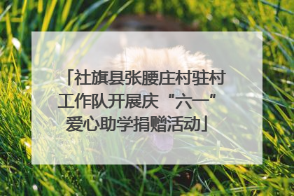 社旗县张腰庄村驻村工作队开展庆“六一”爱心助学捐赠活动