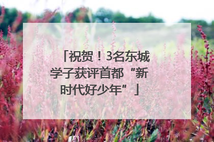 祝贺！3名东城学子获评首都“新时代好少年”