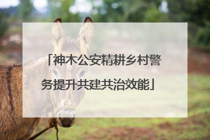 神木公安精耕乡村警务提升共建共治效能