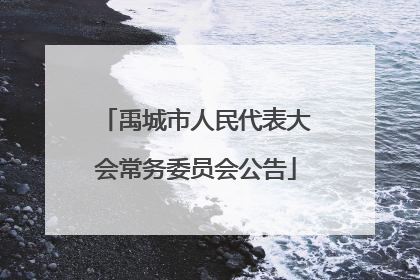 禹城市人民代表大会常务委员会公告