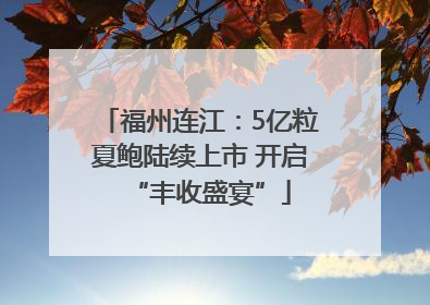 福州连江：5亿粒夏鲍陆续上市 开启“丰收盛宴”