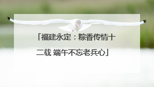 福建永定：粽香传情十二载 端午不忘老兵心