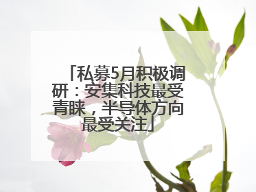 私募5月积极调研：安集科技最受青睐，半导体方向最受关注