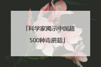 科学家揭示中国超500种毒蘑菇