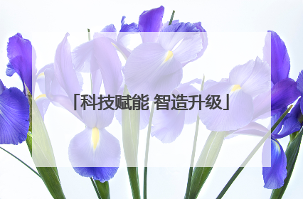 科技赋能 智造升级