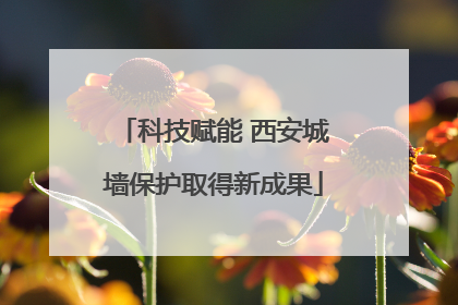 科技赋能 西安城墙保护取得新成果