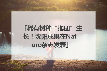 稀有树种“抱团”生长！沈阳成果在Nature杂志发表