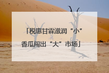 税惠甘霖滋润“小”香瓜闯出“大”市场