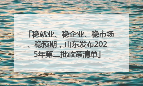 稳就业、稳企业、稳市场、稳预期，山东发布2025年第二批政策清单
