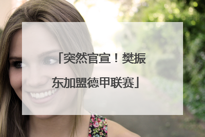 突然官宣！樊振东加盟德甲联赛