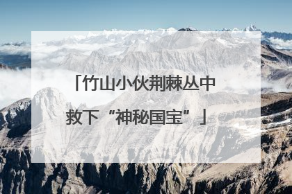 竹山小伙荆棘丛中救下“神秘国宝”